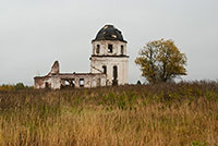 Церковь Троицы Живоначальной, д. Борково Белозерского района. Фото 2012 г.