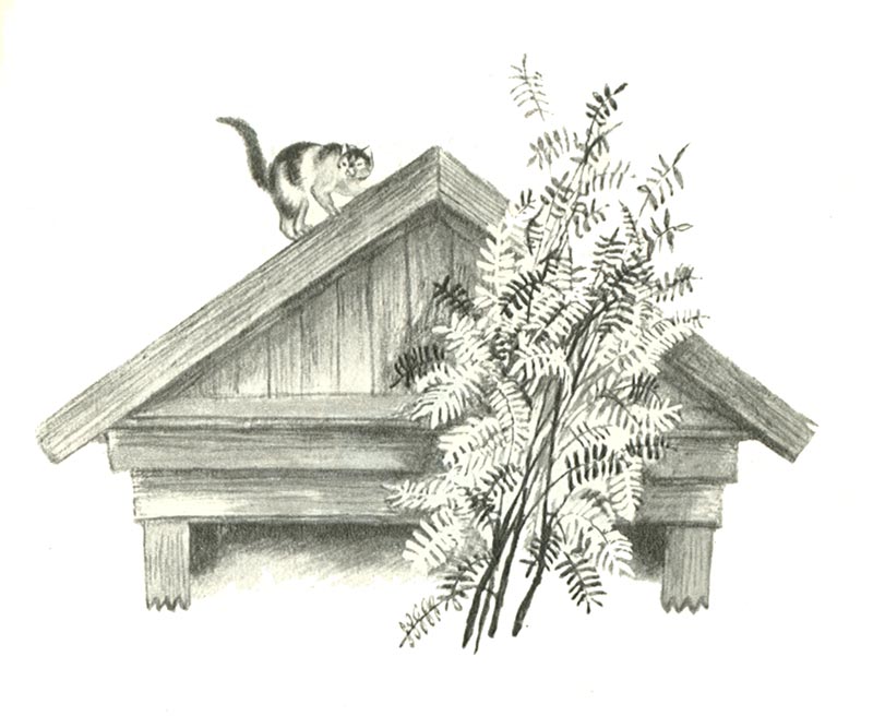 Рисунки к рассказу скворцы белов