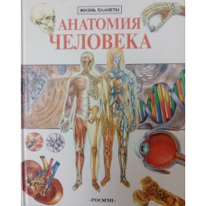 Крокер М. Анатомия человека. – Москва: РОСМЭН, 1999. – 63 с.: цв. ил. – (Жизнь планеты). – ISBN 5-8451-0085-2