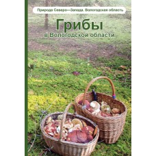 Будник Н. Р. Грибы в Вологодской области : справочник / Н. Р. Будник, Е. Л. Мекк. - Череповец : Порт-Апрель, 2018. - 176 с.: ил.