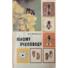 Шабаршов И. А. Юному пчеловоду: книга для учащихся. – 2-е изд., перераб. и доп. – Москва: Просвещение, 1988. – 128 с., [8] л. цв. ил.: ил. – (Путь в профессию). – ISBN 5-09-000722-5