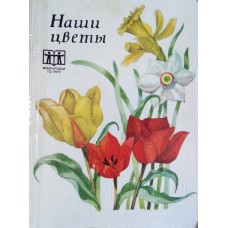 Масюкова М. А. Наши цветы. - Алма-Ата: «Кайнар», 1972. - 142 с. Масюкова М. А. Наши цветы. - Алма-Ата: «Кайнар», 1972. - 142 с.
