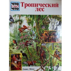 Мертини А. Тропический лес. – М.: Слово, 1998. – 48 с.: ил., карт. – (Что есть что). – ISBN 5-85050-188-6 Мертини А. Тропический лес. – М.: Слово, 1998. – 48 с.: ил., карт. – (Что есть что). – ISBN 5-85050-188-6