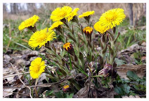 Молев Е. Б. Накануне ледохода. Весна в Великом Устюге. 2010 Молев Е. Б. Накануне ледохода. Весна в Великом Устюге. 2010