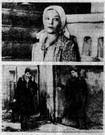 Кадры из фильмов «Василий и Василиса» и «Звездопад»