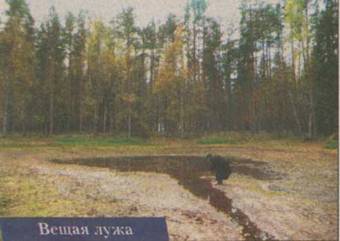 В Синозерской пустыни