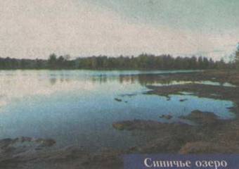 В Синозерской пустыни