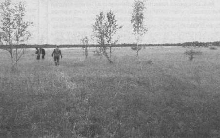 Вот оно – Пустынское озеро