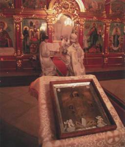 Фото Алексея Колосова