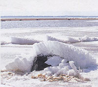 Весна на Спасе-Каменном : [фото] / фот. архиепископа Максимилиана // Вологодский ЛАД. – 2007. – № 1. – [5 отд. л.].
