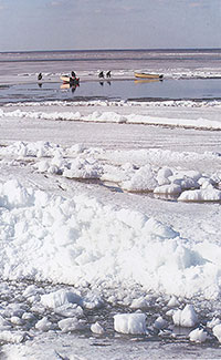 Весна на Спасе-Каменном : [фото] / фот. архиепископа Максимилиана // Вологодский ЛАД. – 2007. – № 1. – [5 отд. л.].

