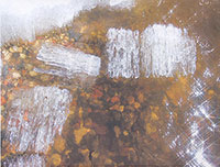 Весна на Спасе-Каменном : [фото] / фот. архиепископа Максимилиана // Вологодский ЛАД. – 2007. – № 1. – [5 отд. л.].
