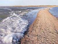 Весна на Спасе-Каменном : [фото] / фот. архиепископа Максимилиана // Вологодский ЛАД. – 2007. – № 1. – [5 отд. л.].
