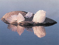 Весна на Спасе-Каменном : [фото] / фот. архиепископа Максимилиана // Вологодский ЛАД. – 2007. – № 1. – [5 отд. л.].
