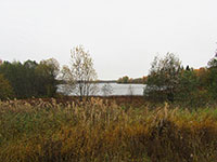 Берег Малого Клематовского озера рядом с автодорогой от п. Солза – место, где стояла церковь Казанской иконы Божией Матери, а ранее – Казанская пустынь. Фото 2011 г.