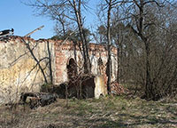 Остатки хозяйственных построек Корнилиево-Комельского монастыря. Фото В. В. Шпака, 2007 г.