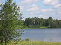 Территория бывшей Репной Спасской пустыни. Среди деревьев видна Николаевская Репнопустынская церковь. Фото А. Македонского