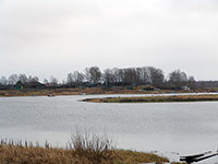 Панорама Святой Луки, на заднем плане погост, заросший высокими деревьями. Фото А. Левиной, 2008 г.