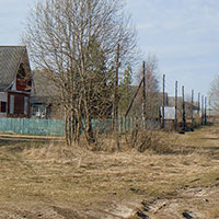 Деревня Новое Лукино Бабаевского р-на