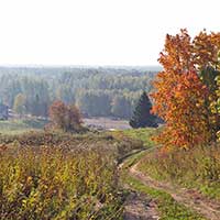 Деревня Оденьево Кирилловского района