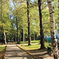 Парк в г. Никольске. Автор фотографии: Н. Шиловская. Дата съемки: 2014 г.