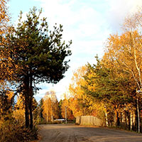 Никольск осенью. Автор фотографии: Н. Шиловская. Дата съемки: 2014 г.