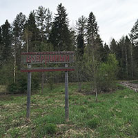 На Бобришном угоре. Автор фотографии: Елена Муланги. Дата съемки: 2021 г. 