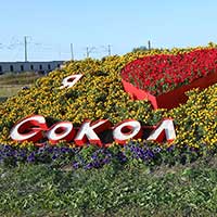 Город Сокол