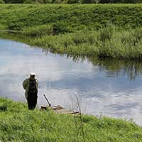 На берегу р. Двиницы