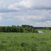 Окрестности Петряево