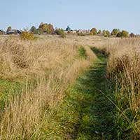 Дорога в д. Биряково Сокольского р-на. Дата съемки: сентябрь 2020 г.