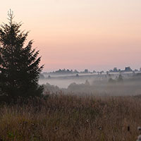 Окрестности д. Биряково Сокольского р-на. Дата съемки: сентябрь 2020 г.