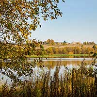 Окрестности д. Биряково Сокольского р-на. Дата съемки: сентябрь 2020 г.