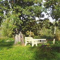 Никольский парк