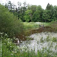 Никольский парк – усадебный парк Межаковых в селе Никольском Усть-Кубинского района