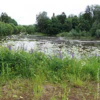 В Никольском парке с. Никольского Усть-Кубинского района