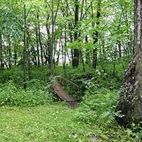 В Никольском парке с. Никольского Усть-Кубинского района