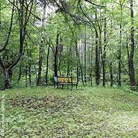 В Никольском парке с. Никольского Усть-Кубинского района