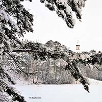 Липин Бор зимой. Дата съемки: январь 2021 г. Автор фотографии: Валентина Барабанова