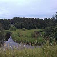 Липиноборские пейзажи. Дата съемки: 20 июля 2020 г.