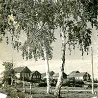 Липин Бор. Дата съемки: 1960-гг.