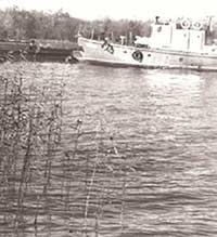 На озере Белом. Автор фотографии: Валентин Коновалов. Дата съемки: 1960-е гг.