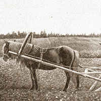 Пахота сохой с резцом. Посад Луда Архангельского уезда и губернии
