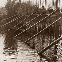 Рыбная запань на р. Вексе в Вологодском уезде в 1920-е гг.
