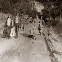 Студенты 1-го курса филфака ВГПИ на диалектологической практике в Тарногском р-не. Фото 1986 г.