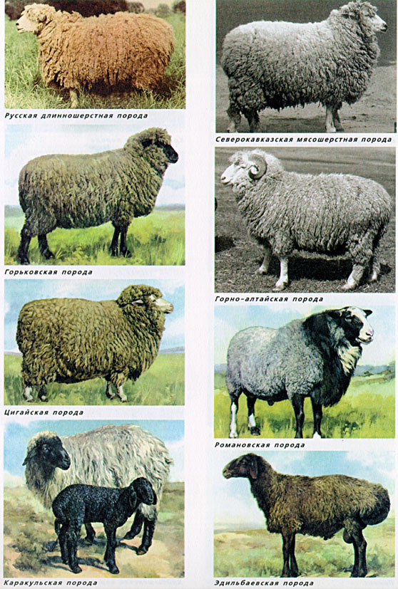 10.jpg (189483 bytes)