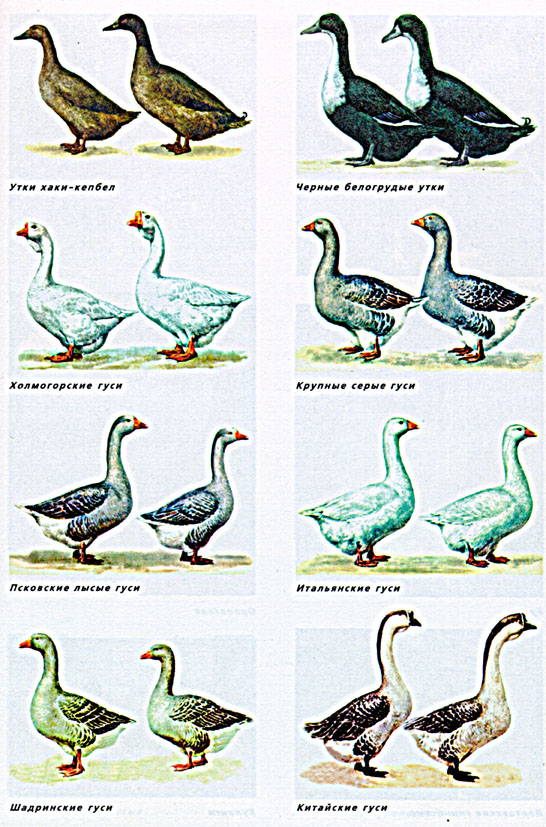 7.jpg (169873 bytes)