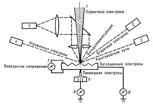 Электронный микроскоп