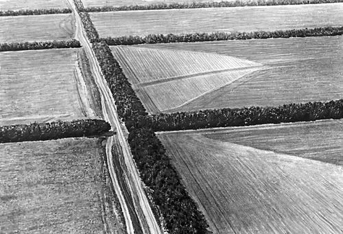 Общий вид системы Тимашевских полезащитных лесных полос в Куйбышевской ...