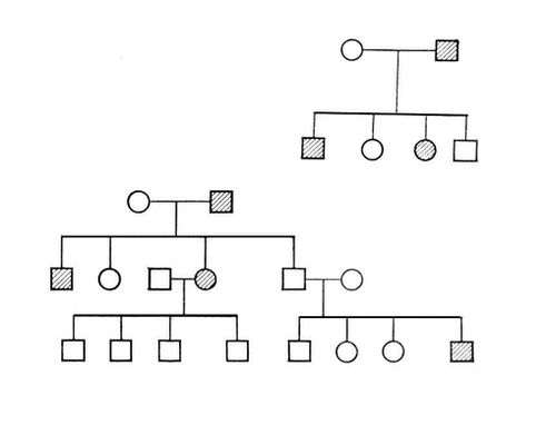 Родословная болезней. Родословная романовых гемофилия. Родословная болезней. Родословная болезней. Родословная генетика болезни.
